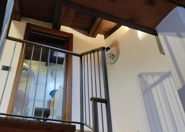 Comodita A Due Passi Dal