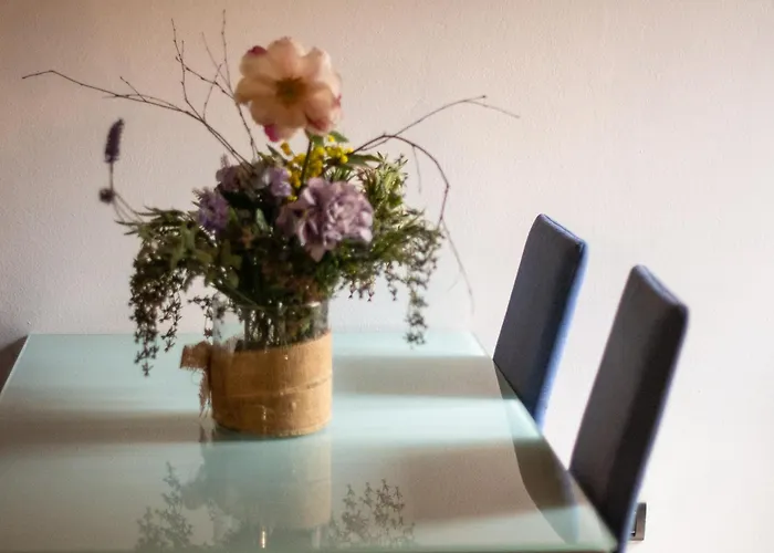 Comodita A Due Passi Dal Lejlighed Verbania